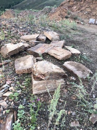 Плитняк кора дерева 50-100мм для пошаговых дорожек купить в Карачаево-Черкесской Республике